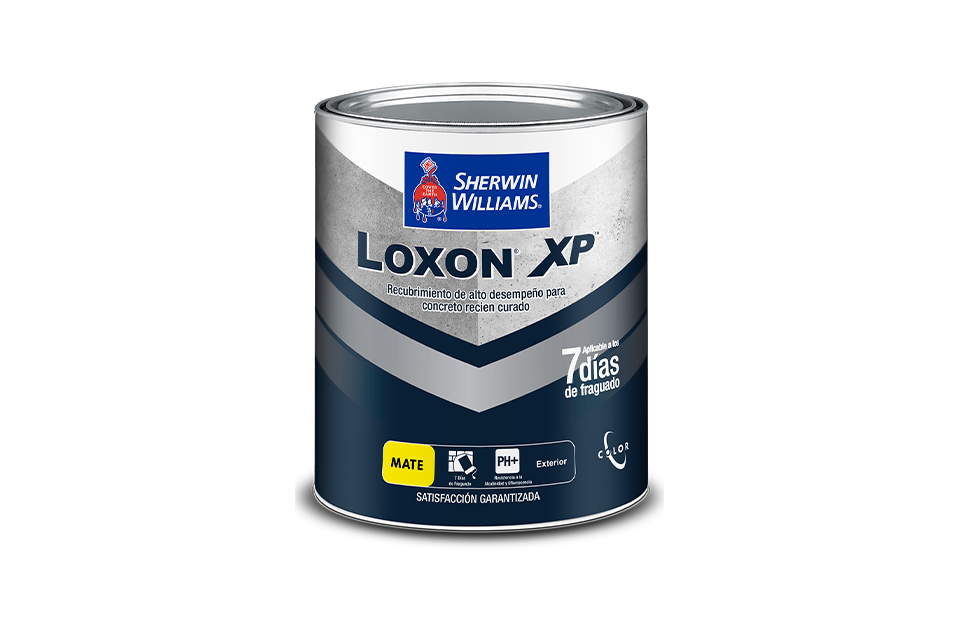 Loxon XP